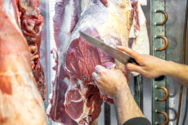 kalbfleisch bereit für gesunde ernährung - dead animal butcher meat sheep stock-fotos und bilder