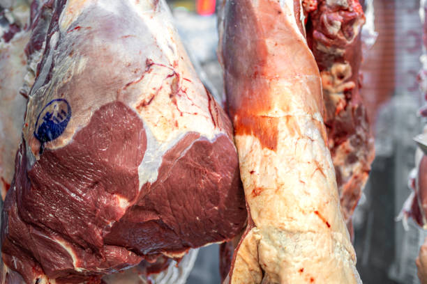 istock Veal ready for healthy eating 1445156814