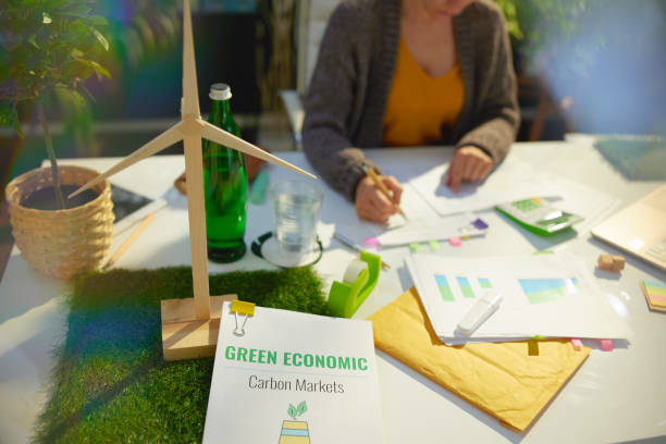 istock eco aware business. business woman working with documents 1445159139