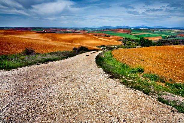 istock Countryside in La Alcarria 1445161016