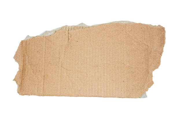 istock Cardboard piece isolated on white background 1445162299