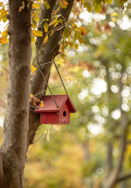 A nest box, also spelled nestbox, is a man-made enclosure provided for animals to nest in. Nest boxes are most frequently utilized for birds, in which case they are also called birdhouses or a birdbox/bird box, but some mammalian species such as bats may also use them.