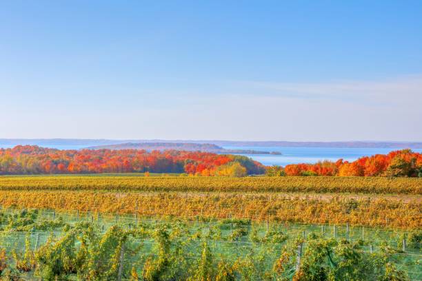 istock Traverse City Michigan In The Fall 1445163946