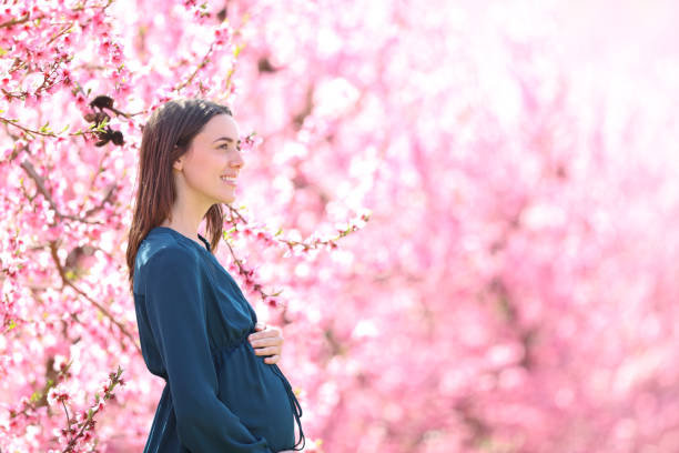 istock Pregnant woman in a pink background 1445165657