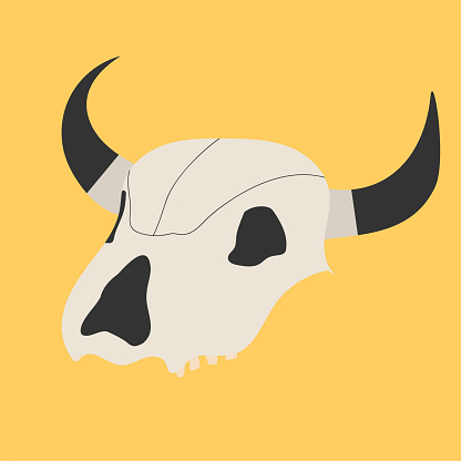 Skeleton or skull of bull. Vector illustration.