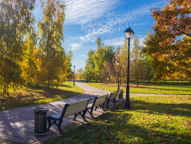 istock Parks of Moscow. Golden autumn.Russia. 1445167607