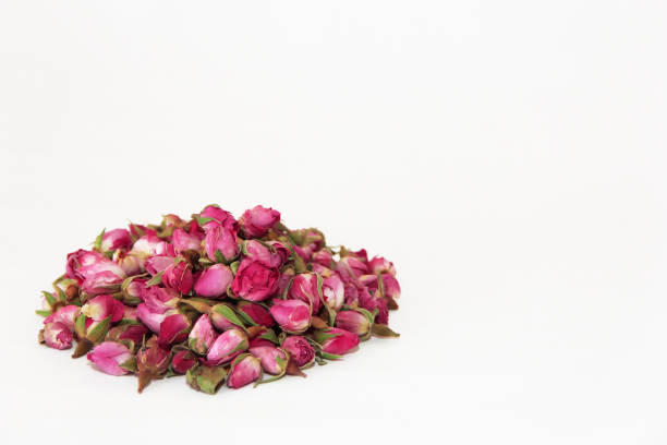 istock small dry buds of natural pink rose for brewing fragrant tea, isolate on a white background 1445168701