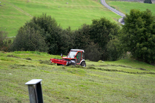 Tractor turning dry grass at steep meadow in the Swiss Alps on a sunny late summer day. Photo taken September 5th, 2022, Dieni, Surselva, Switzerland.