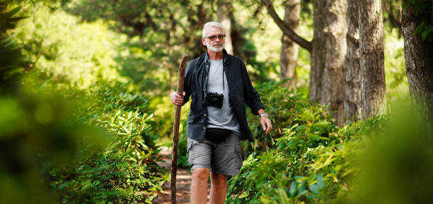 active elderly man walks with a stick through the green forest, health route. adventure is ageless. - senior adult cheerful adventure discovery imagens e fotografias de stock