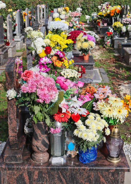 istock Tombstones in the public cemetery 1445177496
