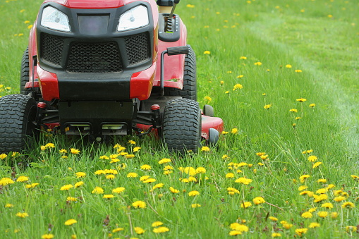 Gardening concept background. Gardener cutting the long grass on a tractor lawn mower .