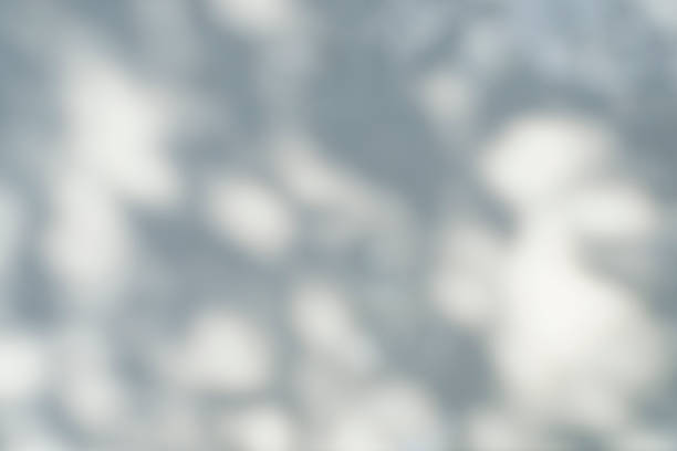 istock Shadow overlay effect for photo. Shadows from tree leaves and tropical branches on a white wall in sunlight. 1445179760