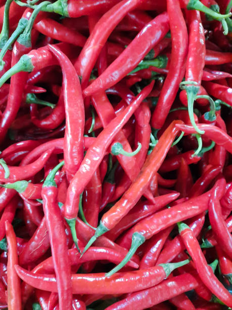 pile of chilies in one of the stalls in the market stock photo