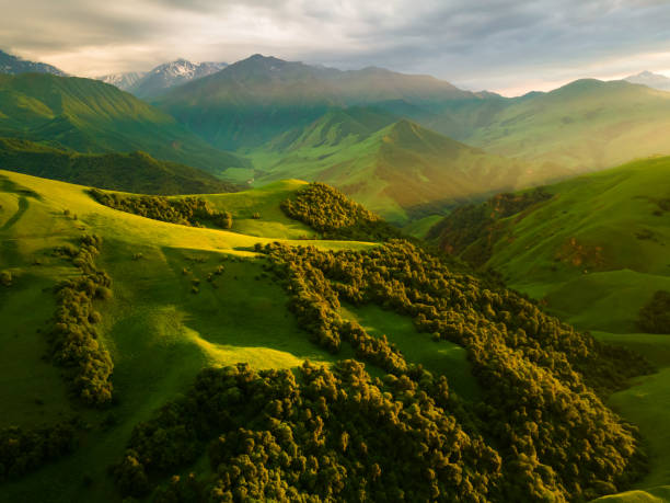 istock Green mountains and hills at sunset. Beautiful summer landscape. 1445180979
