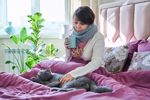 Middle-aged woman sitting at home in bed, warming with scarf and mug of hot drink, along with gray pet cat. Lifestyle, cozy, cold season autumn winter, comfort, animals, people concept