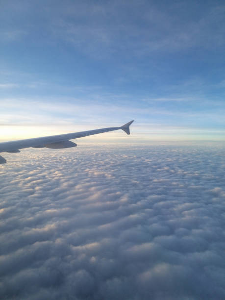 istock The plane flies over a sea of clouds 1445182168
