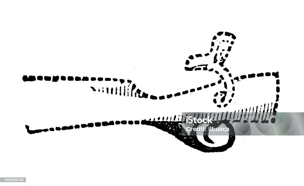 Antique Engraving Illustration Trigger Stock Illustration - Download ...