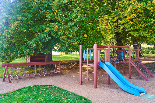 Children's playground with a blue slide around the trees. High quality photo