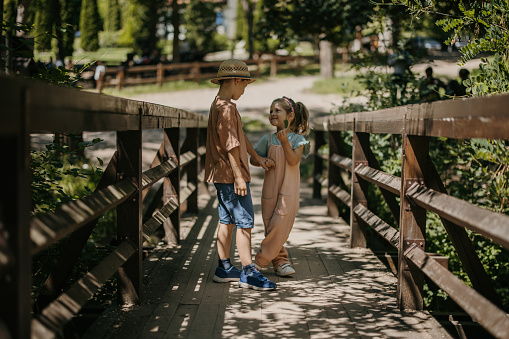Little brother and sister holding hands and walking on wooden footbridge in nature on sunny day