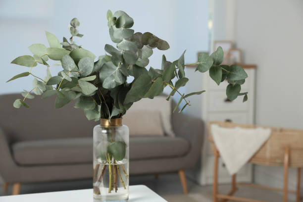 istock Beautiful eucalyptus branches in vase on white table indoors. Interior design 1445192270