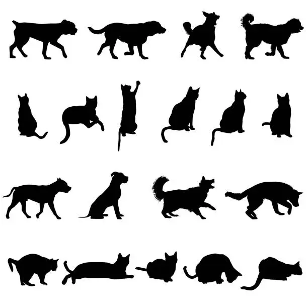Vector illustration of Silhouette of dogs and cats isolated on white background