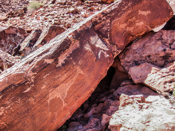 istock Petroglyph in Petrified Forest, Namibia, Africa. 1445193938
