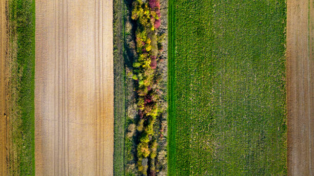 istock Agricultural area - abstract aerial view 1445195040