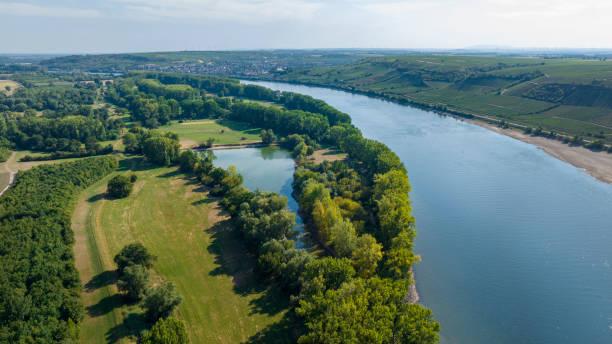istock Rhine river - aerial view 1445195369