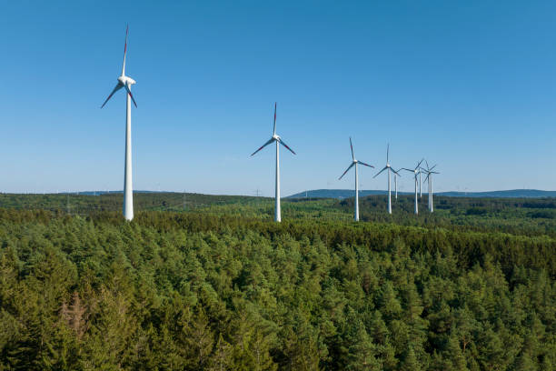 istock Wind turbines and forest - aerial view 1445195414