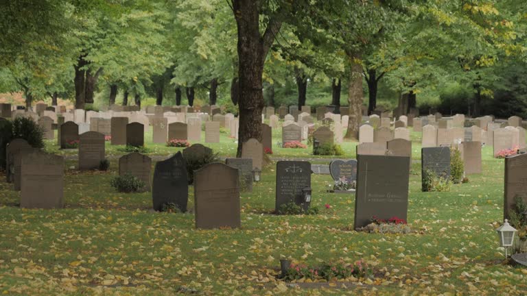 Fall Scene at Swedish Cemetery, Wide shot