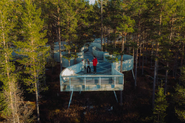 vista aerodinamica della donna e dell'uomo che soggiornano al punto di vista nella pineta nel parco nazionale di rondane, norvegia - scandinavian culture foto e immagini stock