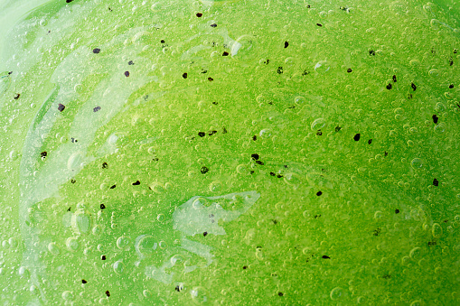 Texture of green shower gel as background, closeup
