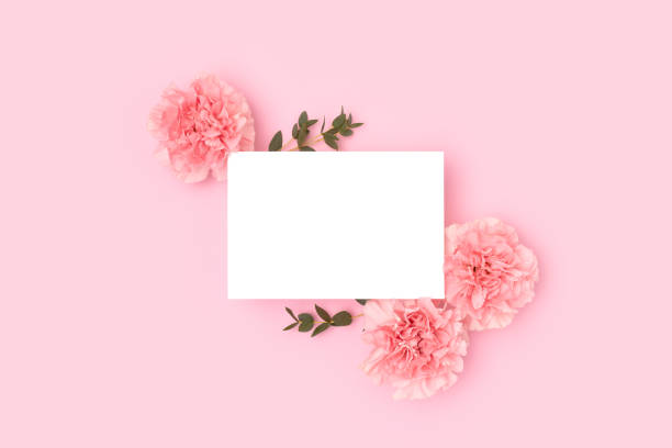 istock Clean paper card mock up, carnation flowers and green eucalyptus branches. 1445201698