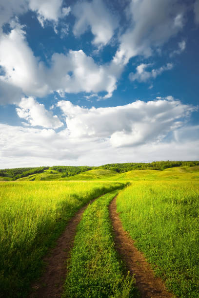 istock Dirt road through the green meadows. Summer landscape. 1445202834