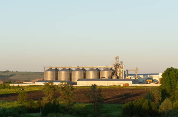 istock Farm, barley field with grain silos for agriculture 1445202847