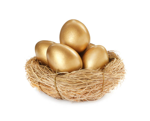 istock Shiny golden eggs in nest on white background 1445202999