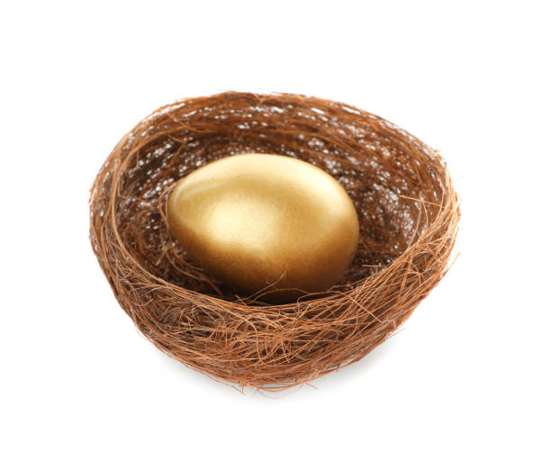 istock Shiny golden egg in nest on white background 1445203003