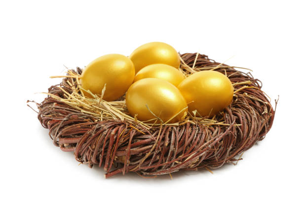 istock Shiny golden eggs in nest on white background 1445203004