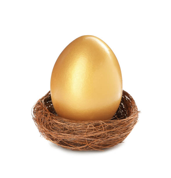 istock Shiny golden egg in nest on white background 1445203123