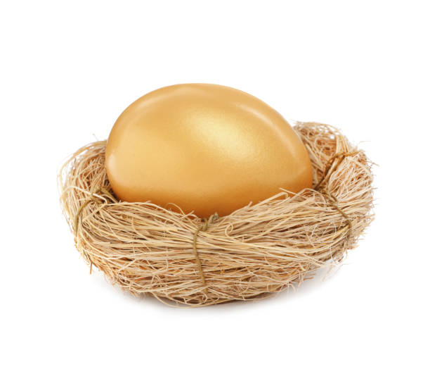 istock Shiny golden egg in nest on white background 1445203276