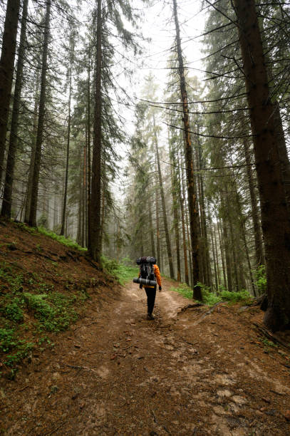 istock Tourist hike with large backpacks in the Carpathians. 1445204165