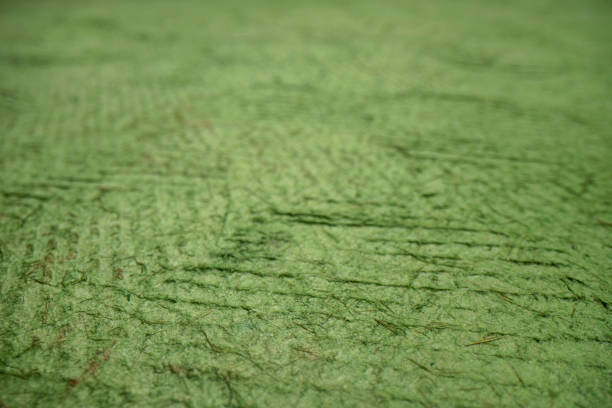 istock closeup of handmade bark paper 1445205048
