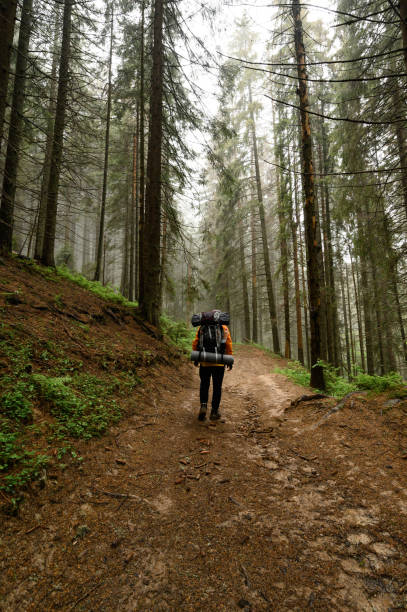 istock Tourist hike with large backpacks in the Carpathians. 1445205666