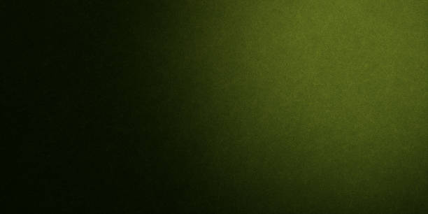 istock Abstract Dark Green Grunge Background 1445205704