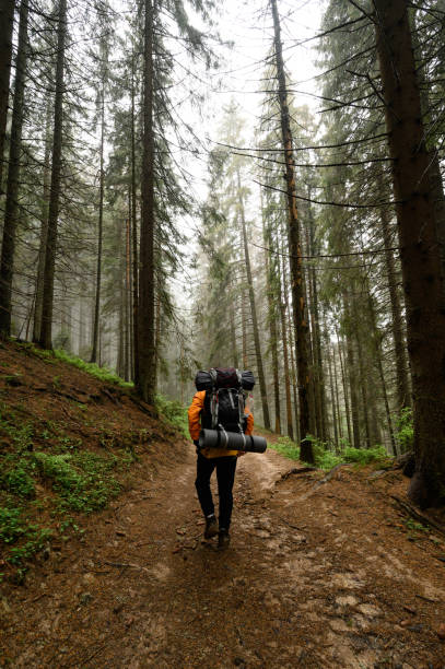 Tourist hiking with large backpacks through the Carpathians, tourists on a hike.