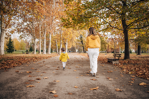 Two people, mother and her little son walking on autumn day in park.