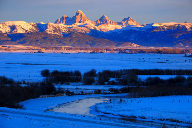 istock Tetons Teton Mountains in Winter Snow and Trees with Reflection in River 1445206671