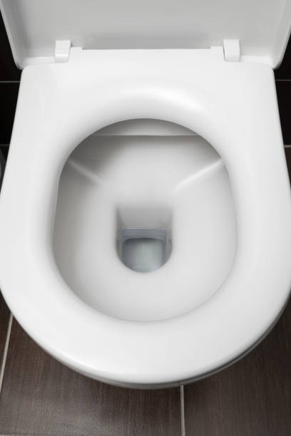 istock Toilet bowl at the restroom 1445208687