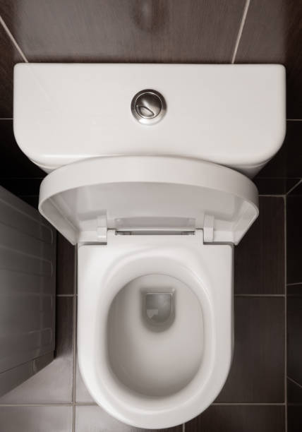 istock Toilet bowl at the restroom 1445208693