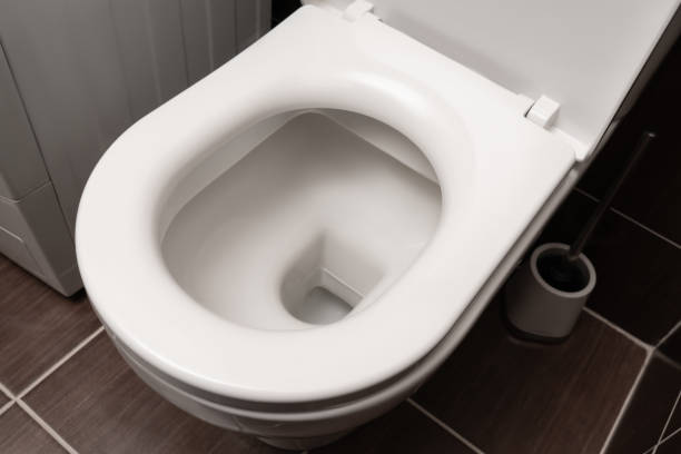 istock Toilet bowl at the restroom 1445208699